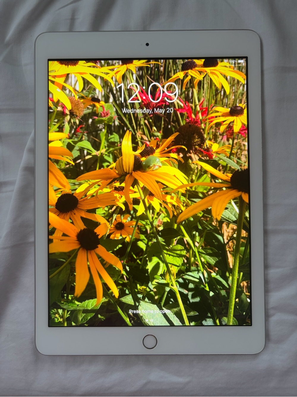 Apple iPad